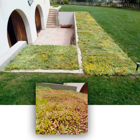 Obra completa de jardines exteriores | Jardinería Agua y Jardín