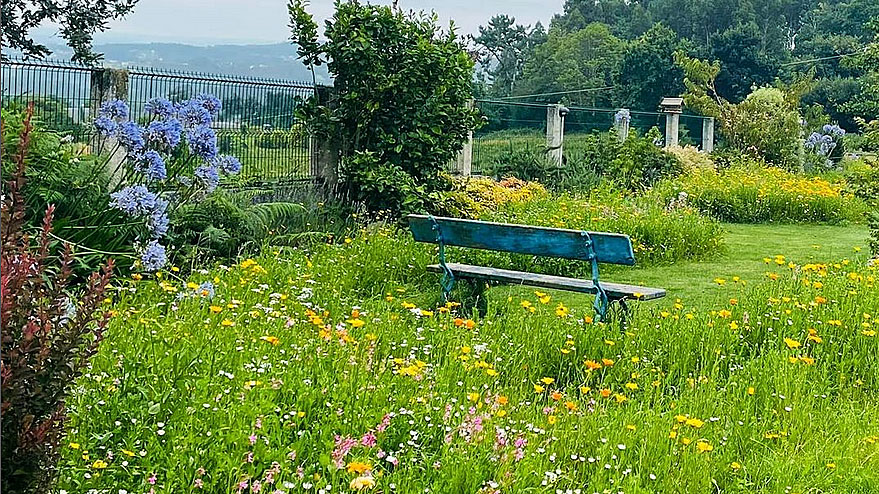 Precioso jardin natural en primavera con recuperación de materiales en este banco con la pintura original desgastada. Creado por Jardinería Agua y Jardín en A Coruña